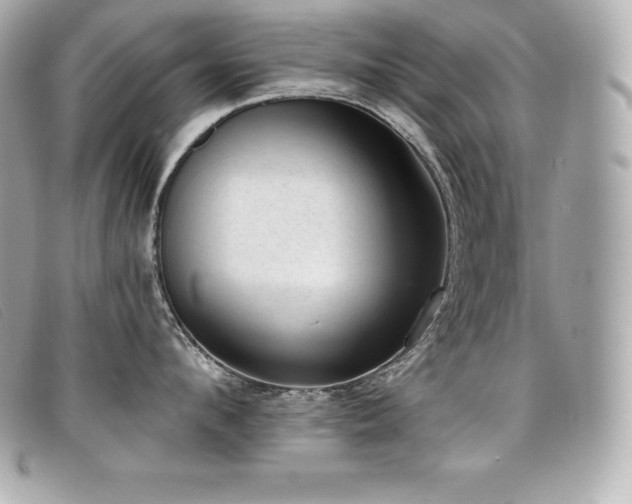 X0000099480912200805091606