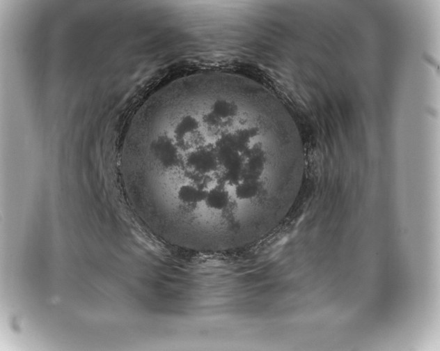X0000099480913200805091605