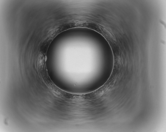 X0000099480914200805091605