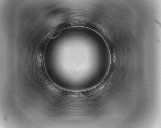 X0000099480915200805091605