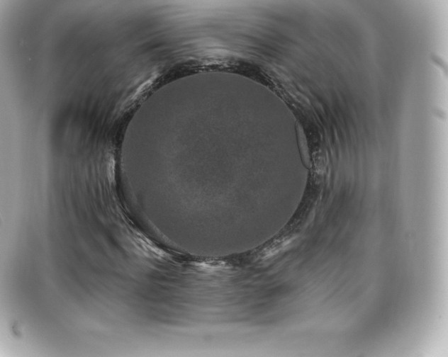 X0000099480916200805091605