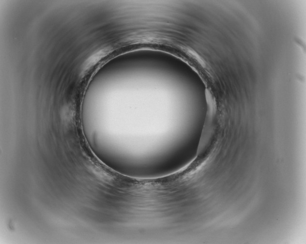 X0000099480922200805091605