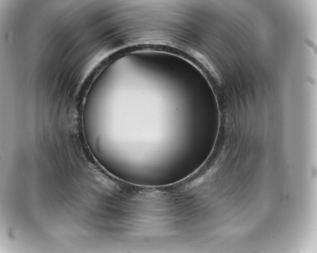 X0000099480926200805091605