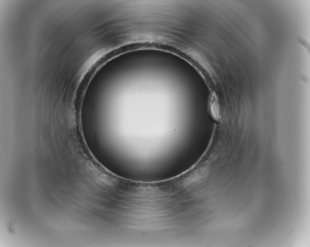 X0000099480927200805091605