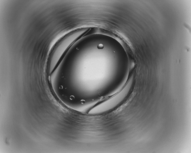 X0000099480928200805091605