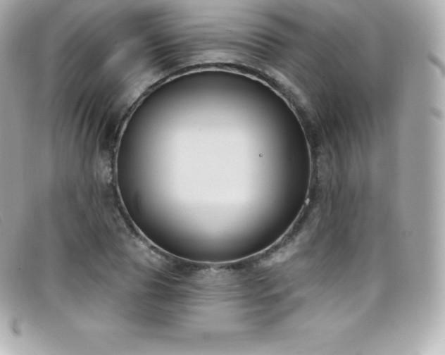 X0000099480929200805091605