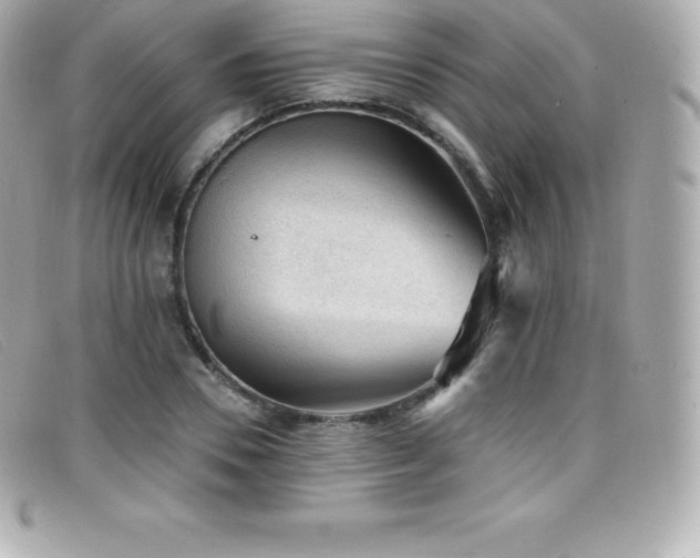 X0000099480930200805091605
