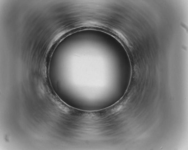 X0000099480931200805091605