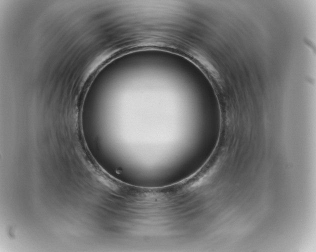 X0000099480933200805091605