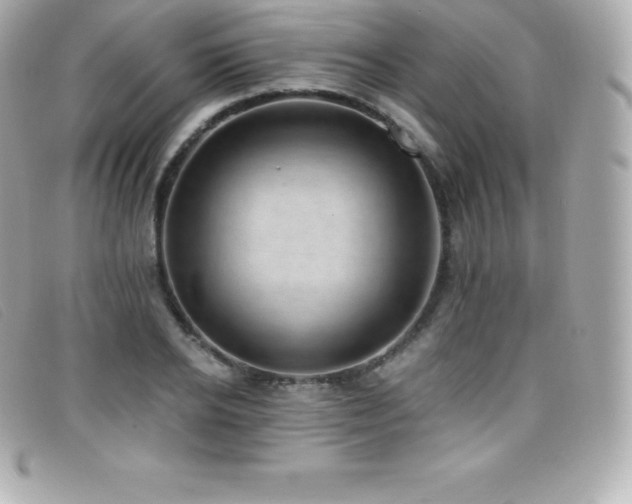 X0000099480934200805091605