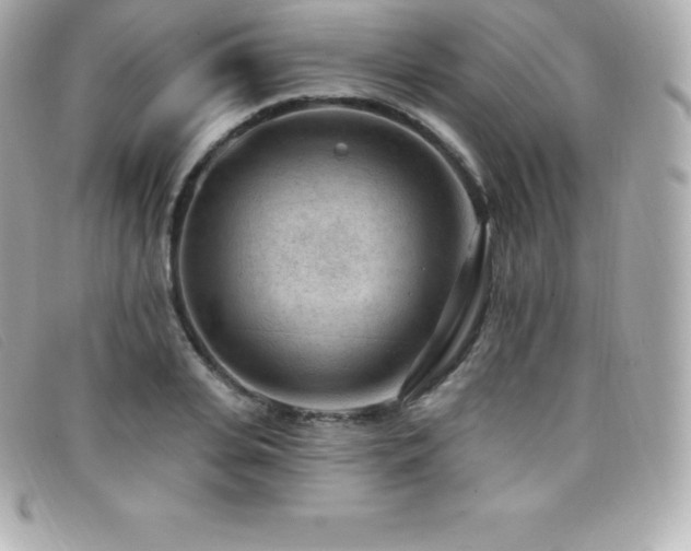 X0000099480935200805091605