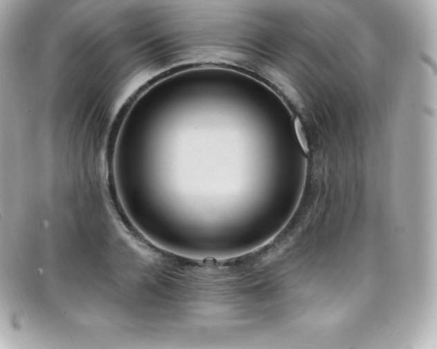 X0000099480936200805091606