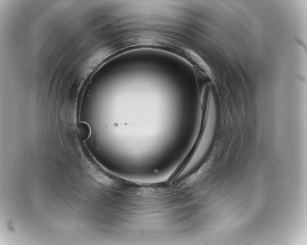 X0000099480938200805091606