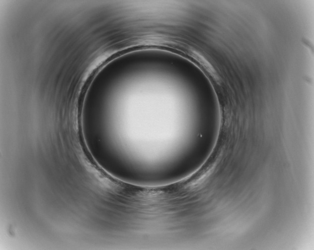 X0000099480939200805091606