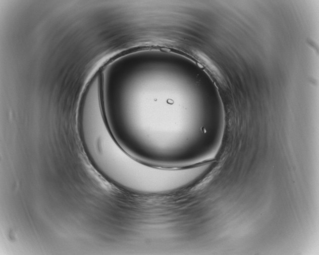 X0000099480940200805091606