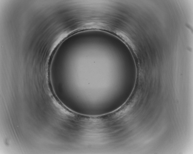 X0000099480941200805091606