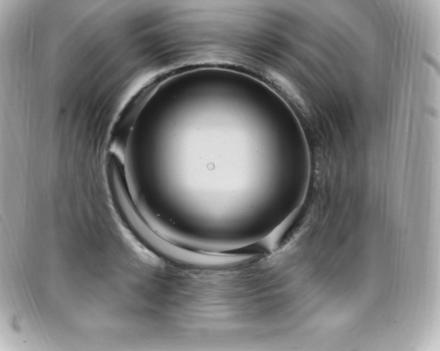 X0000099480942200805091606