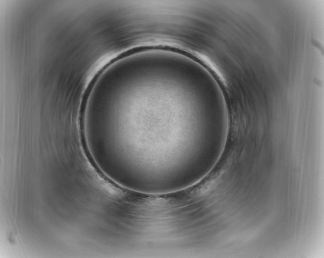 X0000099480943200805091606