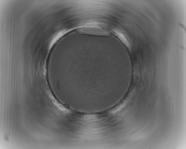 X0000099480944200805091606