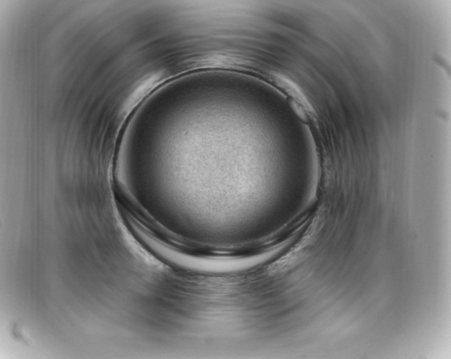 X0000099480946200805091606