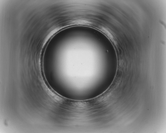 X0000099480947200805091606