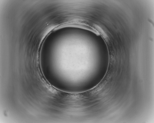 X0000099480948200805091606