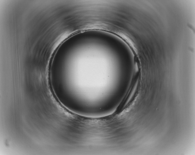 X0000099480949200805091606