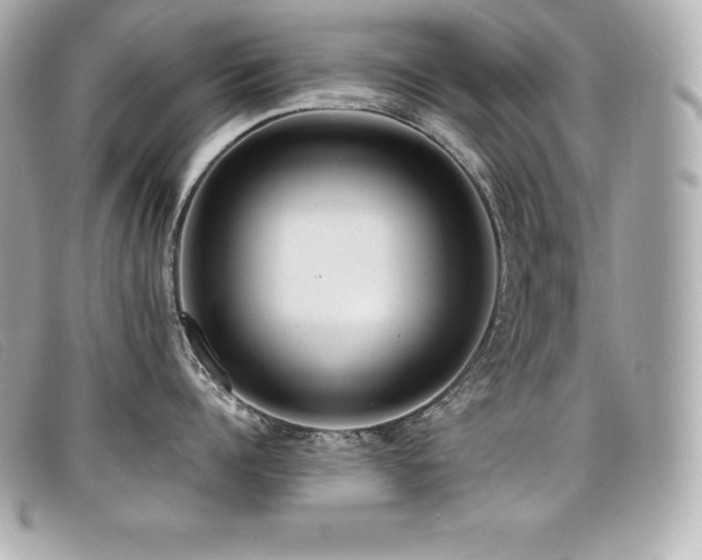 X0000099480960200805091606