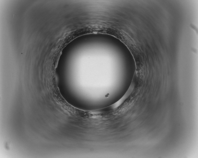 X0000099480961200805091605