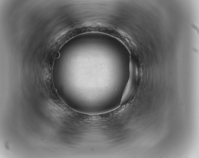 X0000099480966200805091605