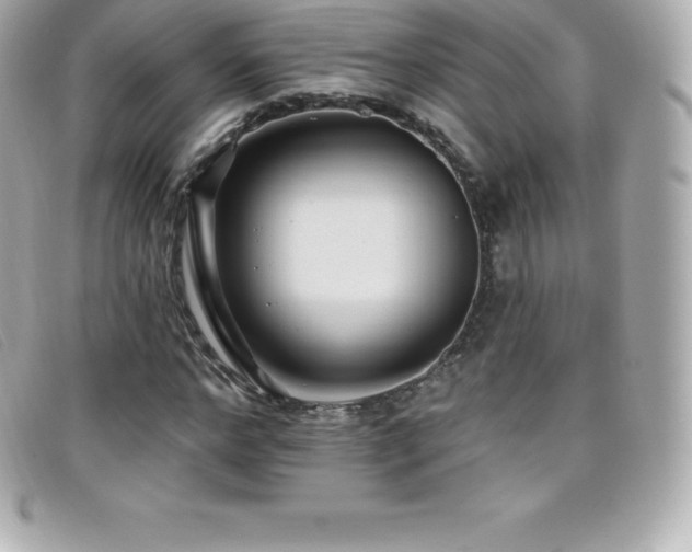 X0000099480968200805091605