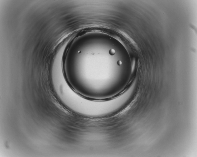 X0000099480969200805091605