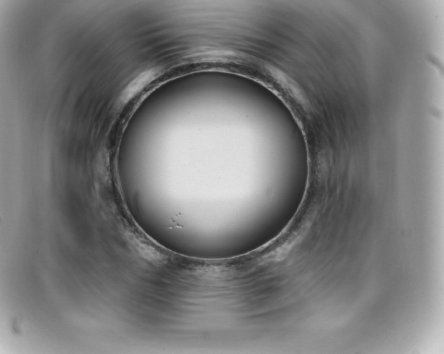 X0000099480970200805091605