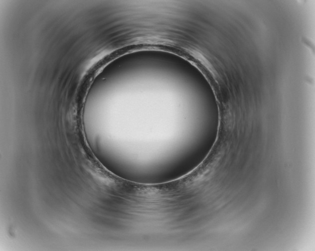 X0000099480971200805091605