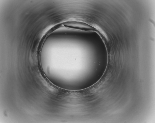X0000099480972200805091605