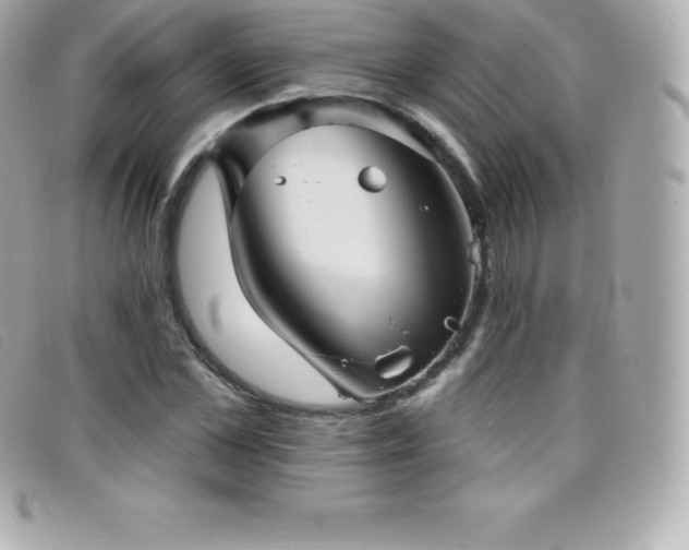 X0000099480973200805091605