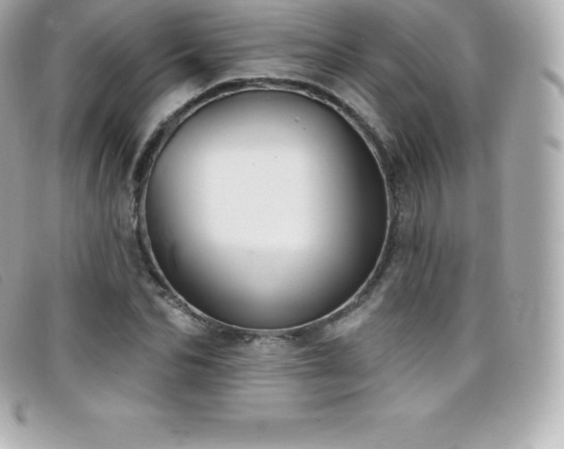 X0000099480974200805091605