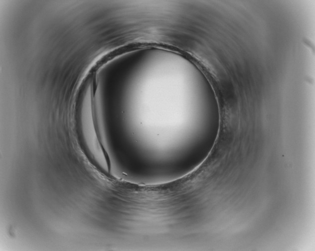 X0000099480976200805091605