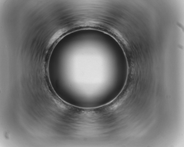 X0000099480978200805091605