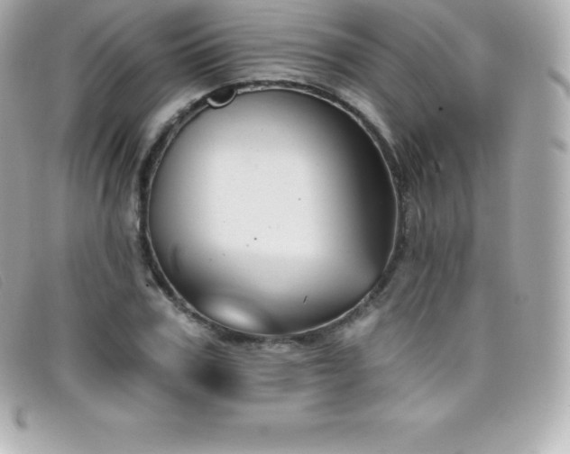 X0000099480979200805091605