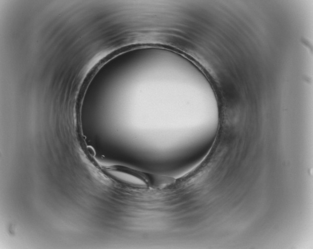 X0000099480980200805091605