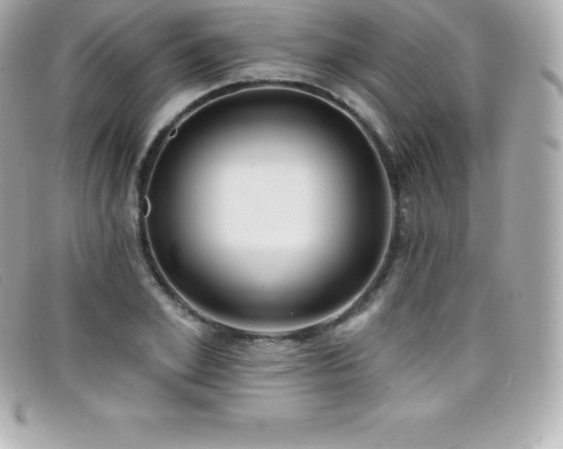 X0000099480981200805091605