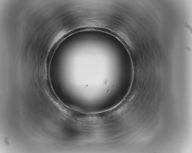 X0000099480982200805091605