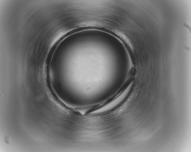 X0000099480983200805091605