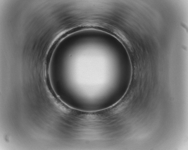 X0000099480984200805091605