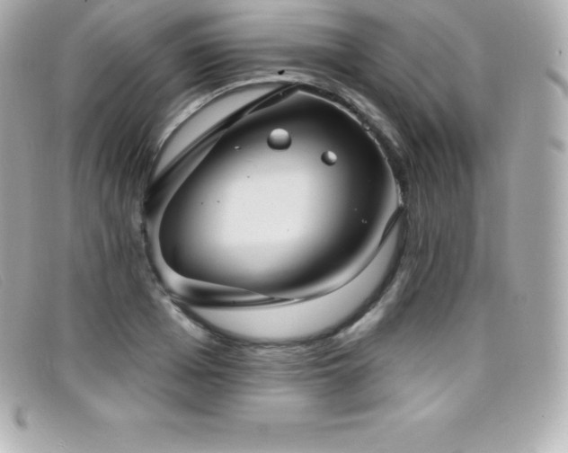 X0000099480985200805091605