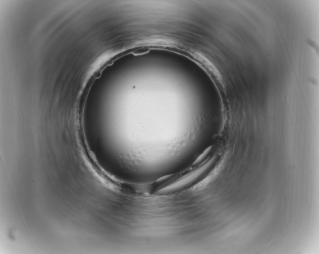 X0000099480989200805091605