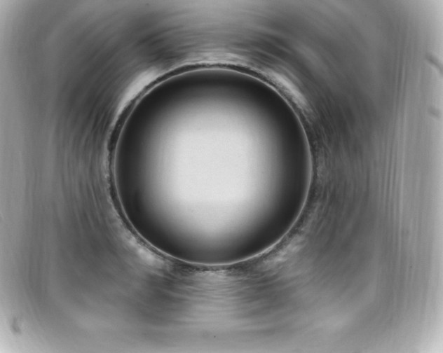 X0000099480990200805091605