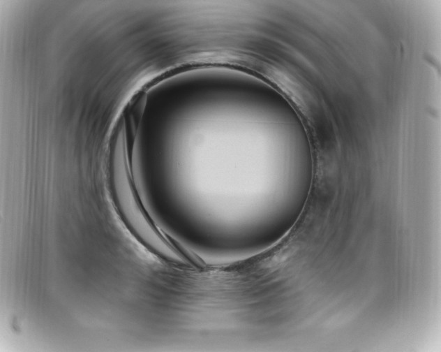 X0000099480992200805091605