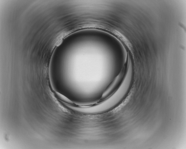 X0000099480993200805091605
